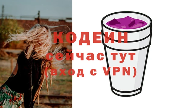гашик Богородск