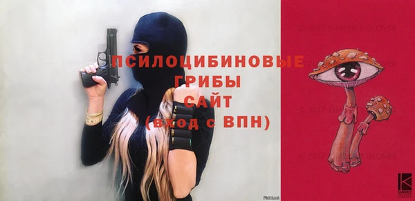 СК Богородицк
