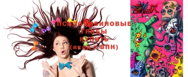 каннабис Богданович