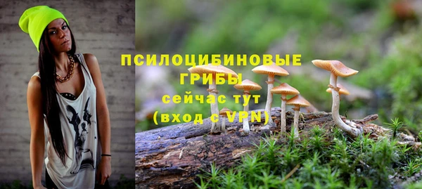 каннабис Богданович